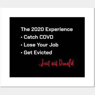 The 2020 Experience Posters and Art